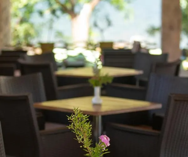 Aparthotel Cleopatra 4*