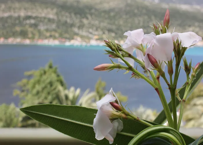 Cleopatra Aparthotel