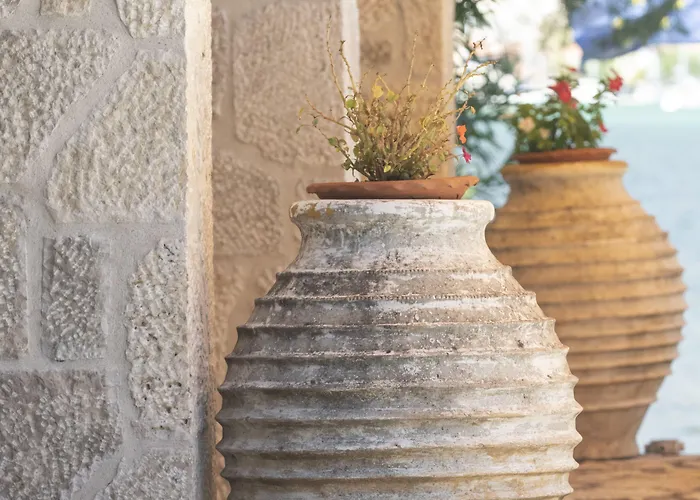 Aparthotel Cleopatra