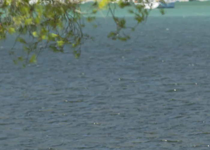 Aparthotel Cleopatra 4*